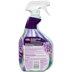 Buy now Clorox Scentiva Disinfecting Multi-Surface Cleaner, Lavender and Jasmine, 32 Fl Oz (Pack May Vary) at indiglob india