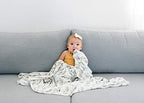 Buy now Copper Pearl Large Premium Knit Baby Swaddle Receiving Blanket Fern at indiglob india