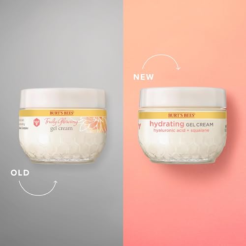 Buy now Burt's Bees Truly Glowing Replenishing Gel Cream, Moisturizer with Hydrate and Glow Complex for Normal and Combination Skin, 1.8 Fluid Ounces (Packaging May Vary) at indiglob india