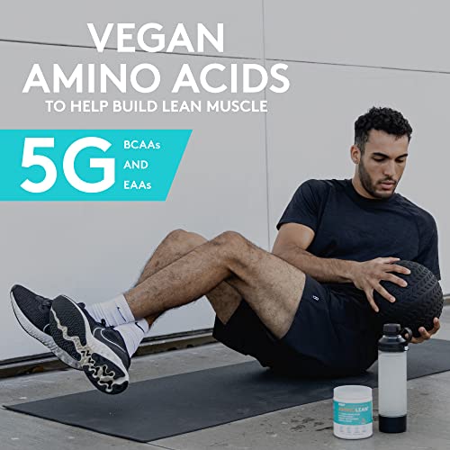 Buy now RSP Vegan AminoLean â€“ All-in-One Natural Pre Workout, Amino Energy, Weight Management with BCAAs, Complete Vegan Preworkout Powder, Pineapple Coconut at indiglob india