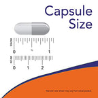 Buy now NowFoods Vegetarian Glucosamine & MSM Joint Health 240 Veg Capsules at indiglob india