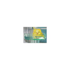 Buy now Lixit Quick Lock Bird Cage Bath for Lovebirds, Canaries, Finches, Parakeets, and Cockatiels and Other Small to Medium Feathered Friends (Pack of 1) at indiglob india