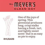 Buy now MRS. MEYER'S CLEAN DAY Hand Soap, Made with Essential Oils, Rhubarb, 12.5 fl. oz at indiglob india