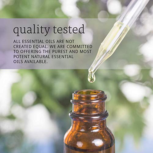 Buy now NOW Essential Oils, Eucalyptus Oil, Clarifying Aromatherapy Scent, Steam Distilled, 100% Pure, Vegan, Child Resistant Cap, 1-Ounce at indiglob india