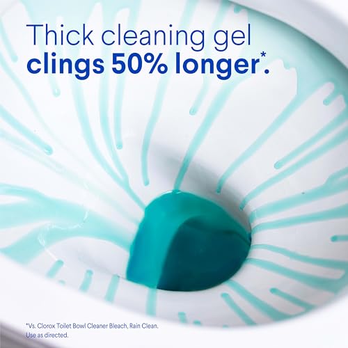 Buy now Clorox Toilet Bowl Cleaner Heavy Duty Stain and Ring Remover, Arctic Clean, 24 Fl Oz., Pack of 2 at indiglob india