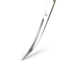 12" Stainless Steel Aquarium Scissors, Curved Long Aquatic Plant Trimming Scissors for Aquascaping, Fish Tank & Terrarium Maintenance in Fresh & Salt Water (Silver)