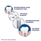 Buy now Sensodyne Toothpaste Mint, 4 Oz, Pack of 4 at indiglob india