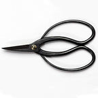 Buy now Wazakura Bonsai Scissors MADE IN JAPAN 7inch(180mm), Japanese Bonsai Garden Tools, Hasami Pruning Shears at indiglob india