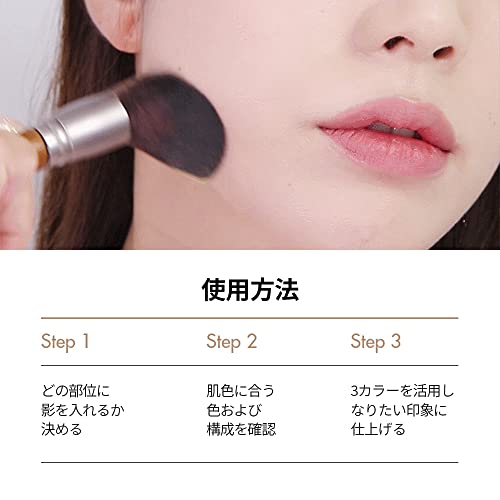Buy now [Too Cool for School] ArtClass by Rodin Shading | Korean Contour Palette | Bronzer Face Powder | #1 Classic [Warm Tone] at indiglob india