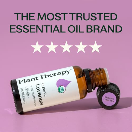 Buy now Plant Therapy Organic Lavender Essential Oil 100% Pure, USDA Certified Organic, Undiluted, Natural Aromatherapy for Diffusion & Topical Use, For Skin, Hair, Relaxation, Premium Therapeutic Grade 30 mL at indiglob india