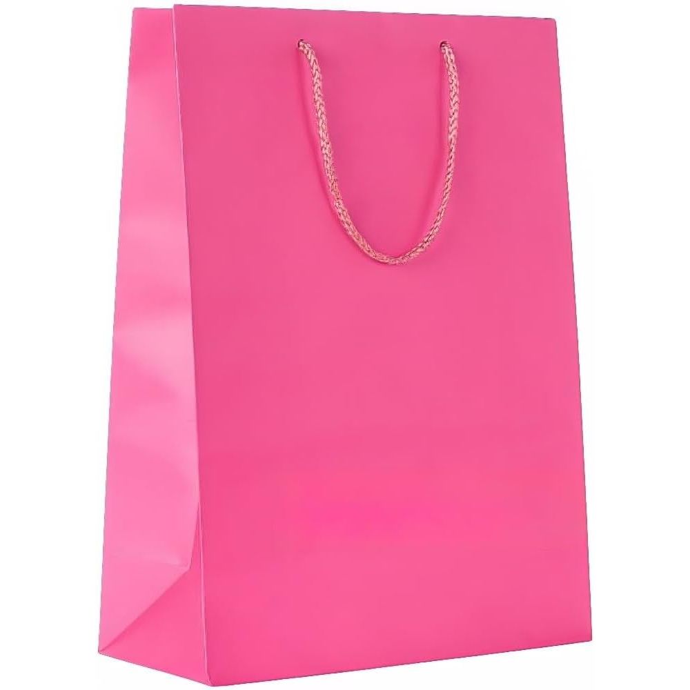 Buy now Vibrant Solid Glossy Medium Bag - 9.5"H x 7.75"W x 4.5" (1 Pc.) - Sturdy, Eye-Catching & Eco-Friendly - Ideal for Events, Celebrations & Gifting, Black Bright Pink at indiglob india