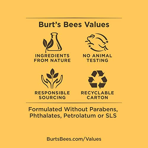Buy now Burt's Bees Lip Balm Stocking Stuffers, Moisturizing Lip Care Holiday Gift, 100% Natural, Original Beeswax with Vitamin E & Peppermint Oil (4 Pack) at indiglob india
