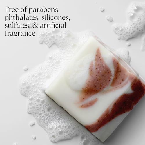 Buy now Kitsch Shea Butter Exfoliating Body Wash Bar â€“ Moisturizing Bar Soap & Gentle Soap Bar with Plant-Based Exfoliants â€“ Hydrates, Softens & Soothes Skin â€“ Paraben, Silicone & Sulfate-Free - 4 oz at indiglob india