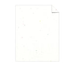 Astrobrights Colored Cardstock, 8.5" x 11", 65 lb/176 gsm, Stardust White (Multi-Color Flecked), 250 Sheets (21408)