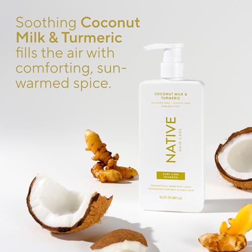 Buy now Native 2-in-1 Shampoo & Conditioner - Autumn Air & Amber - Naturally Derived Ingredients, Silicone-Free, Sulfate-Free, Paraben-Free, Strengthening Hair Care | Fall Seasonal Bundle 16.5 oz - 2 Pk at indiglob india