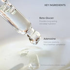 Buy now IUNIK Beta-Glucan Power Deep Moisture Vegan Serum Intense Hydration Mushroom Yeast Extracts Naturally-derived - Dry Mature Sagging Sensitive Skin Cell Regenerating Lifting Korean Skincare at indiglob india
