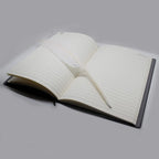 4 PCS Set Notebook Anime Cosplay Japan Anime Theme Writing Journal, Feather Pen, L Necklace & Book Chain Anime Accessories