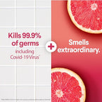 Buy now Clorox Scentiva Disinfecting Wipes, Grapefruit and Orange Blossom, 75 Ct., Pack of 3 (Pack May vary) at indiglob india