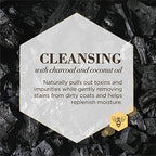 Buy now Burt's Bees for Pets Care Plus+ Naturally Derived Deep Cleansing Charcoal & Coconut Oil Shampoo - Dog Shampoo to Naturally Derivedly Purify and Replenish Dog's Skin & Coat - Made in USA, 16 Oz at indiglob india