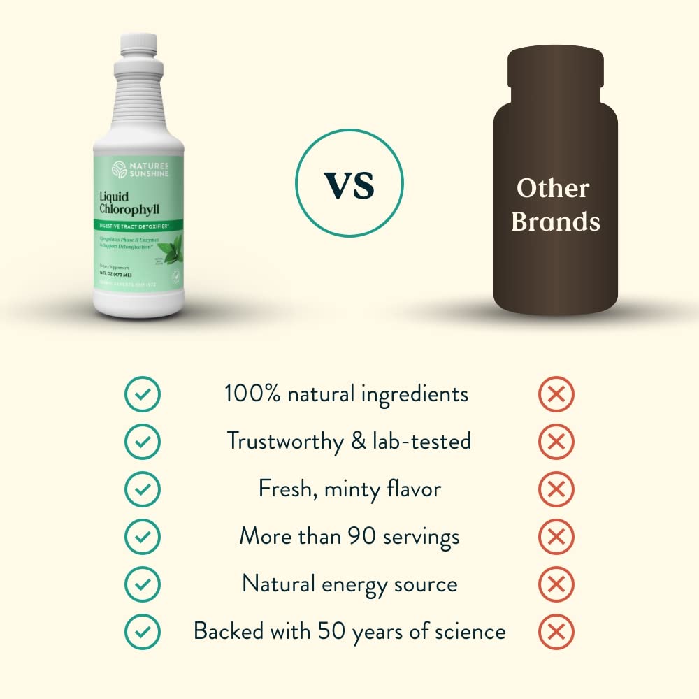 Nature's Sunshine Liquid Chlorophyll - Immunity Support, Detox & Cleanse, Chlorophyll Liquid Drops with Spearmint Oil, Natural Energy Boost, Internal Deodorant - 16 Fl Oz