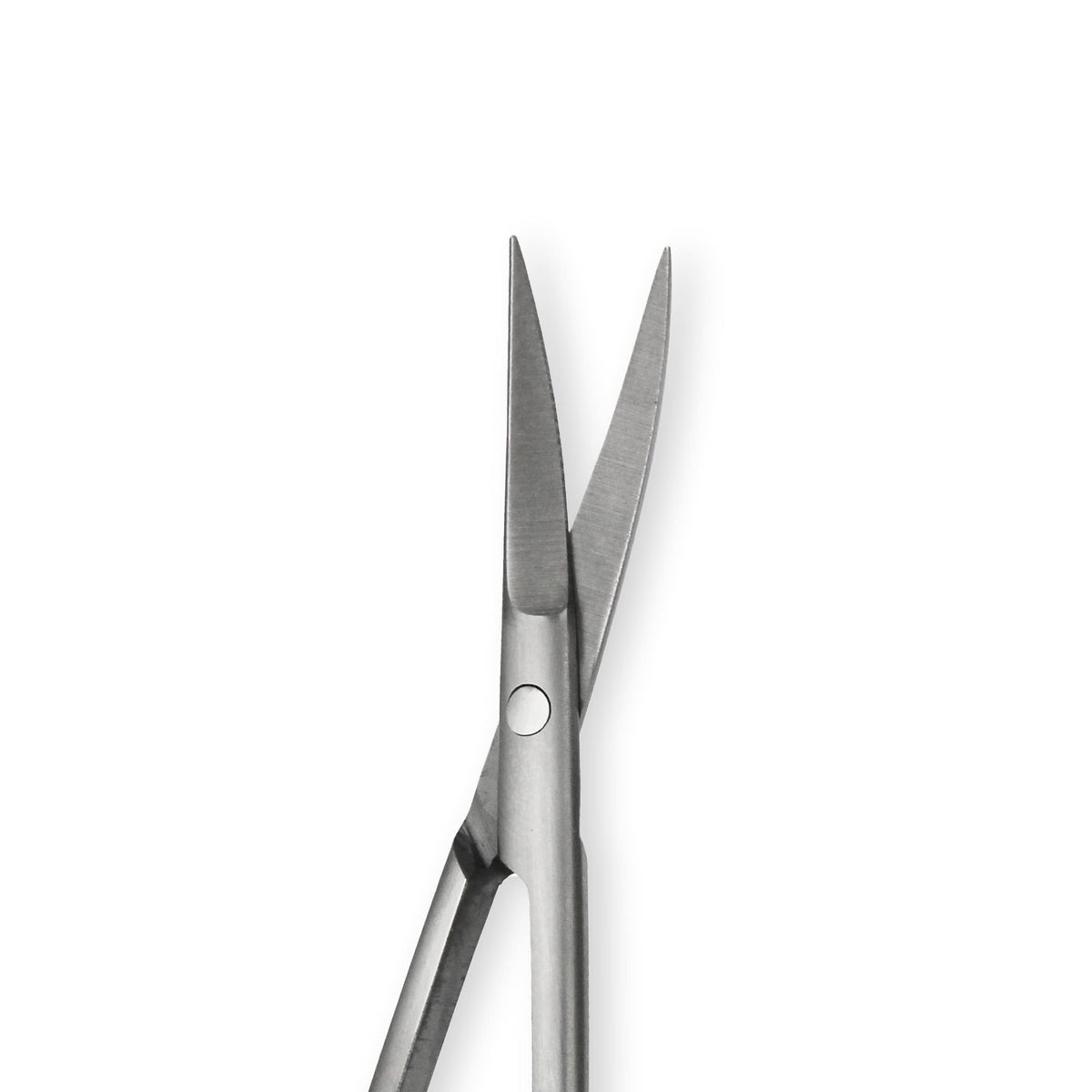 Amazon Basics Beauty Scissors, Stainless Steel, Curved Precision Cutting, Multipurpose Grooming Tool, Easy to Use, Silver