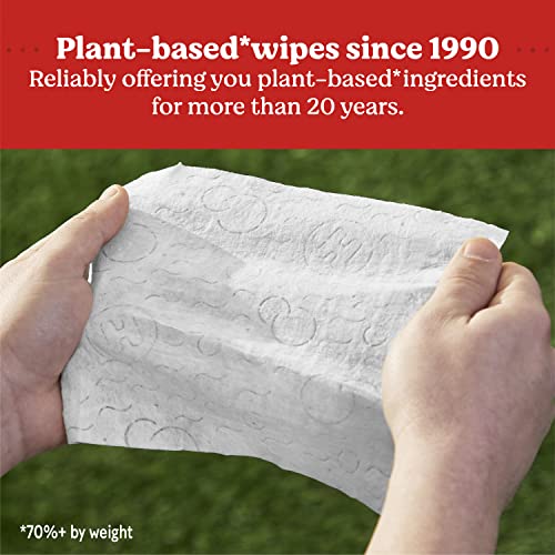Buy now HUGGIES Simply Clean Baby Wipes Flip Lid Packs 704 Wipes Total, White, Unscented, 11 Count at indiglob india