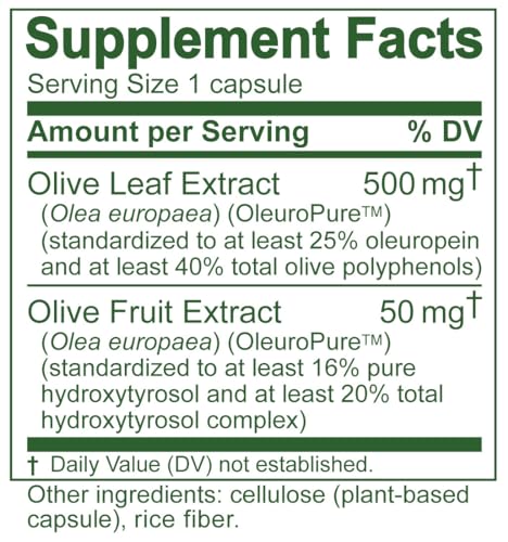 Buy now Olive Leaf Extract Capsules â€“ 25% Oleuropein (40% Total Polyphenols), Plus 20% Hydroxytyrosol Complex â€“ 100% Grown & Extracted in Spain (90 Capsules) at indiglob india