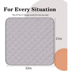 Buy now RIQINXIN Washable Incontinence Chair Pads 3pcs Waterproof Seat Protector Pads for Wheelchair Armchair Adults21x22in (Beige) at indiglob india