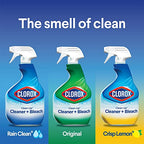 Buy now Clorox® Clean-Up® All Purpose Cleaner with Bleach, Spray Bottle, Rain Clean, 32 Fluid Ounces at indiglob india