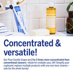 Buy now Dr. Bronner's - Pure-Castile Liquid Soap (Citrus, 8 ounce) - Made with Organic Oils, 18-in-1 Uses: Face, Body, Hair, Laundry, Pets and Dishes, Concentrated, Vegan, Non-GMO at indiglob india