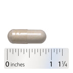 Nature's Way Fortify Women’s Probiotic 30 Billion CFU, 30 ct | Daily Multi-Strain Probiotic for Digestive, Vaginal, and Immune Support*, Once-Daily Capsule, No Refrigeration Required