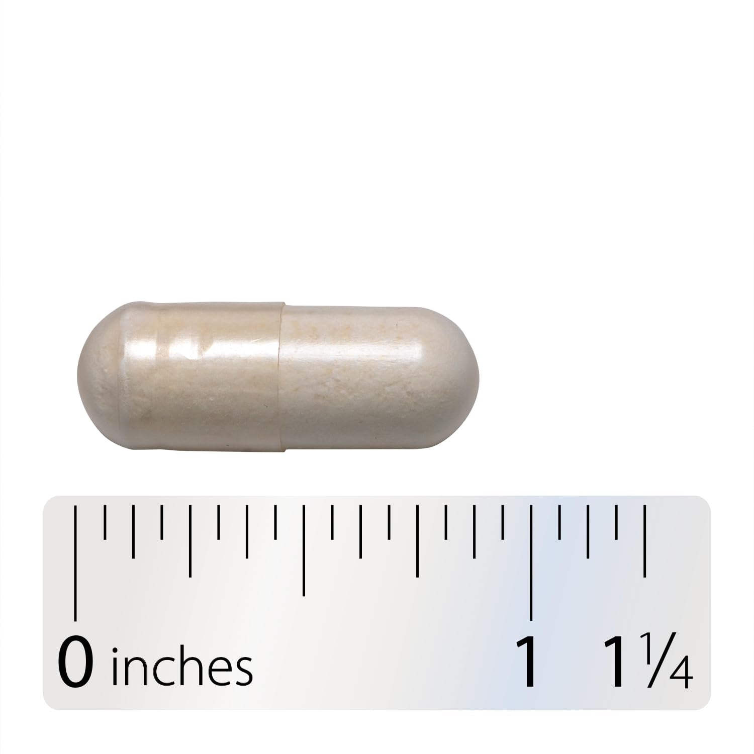 Nature's Way Fortify Women’s Probiotic 30 Billion CFU, 30 ct | Daily Multi-Strain Probiotic for Digestive, Vaginal, and Immune Support*, Once-Daily Capsule, No Refrigeration Required