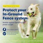 Buy now PetSafe Surge Protector for Pet Fences - Surge Protection Device - Electrical Protector - Durable Pet Fence Kit - Easy Installation - Fence Guard for Dogs - Outdoor Training Tool at indiglob india