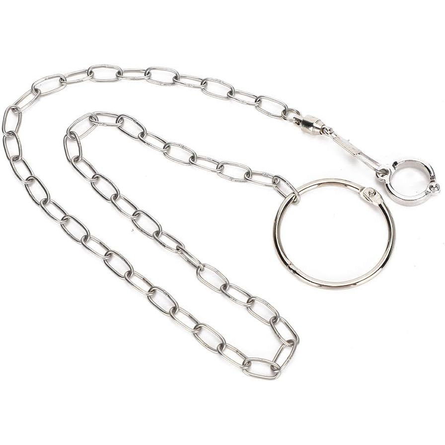 Buy now Rehomy Parrot Foot Chain, Stainless Steel Anti-bite Flying Training Anklet Ring Bird Harness for Parrots Macaw African Greys Parakeet Cockatoo Cockatiel Conure Lovebird at indiglob india