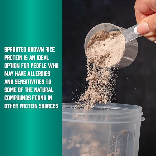 Buy now NOW Foods Sports Nutrition, Sprouted Brown Rice Protein, 80% Protein, Unflavored Powder, 2-Pound at indiglob india