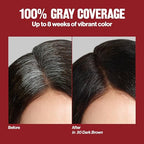 Buy now Revlon ColorSilk with Bond Repair Complex, Permanent Hair Color, 100% Gray Coverage, Ammonia Free Dye, Vegan Keratin, 45 Bright Auburn, 3 pack at indiglob india
