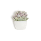 U Brands Succulent Push Pins Set, 9 Count, Three Assorted Styles