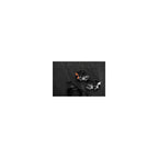 Buy now SureFire EP7 Sonic Defenders Ultra filtered Earplugs w/ Comply Canal Tips, reusable, Black, Medium at indiglob india