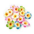10Pcs Multicolor Hawaii Plumeria Flower Clips Hawaiian Flowers Hair Barrettes Beach Party Hair Clips Artificial Tropical Flower Hairpins for Wedding Hair Accessories (7cm)
