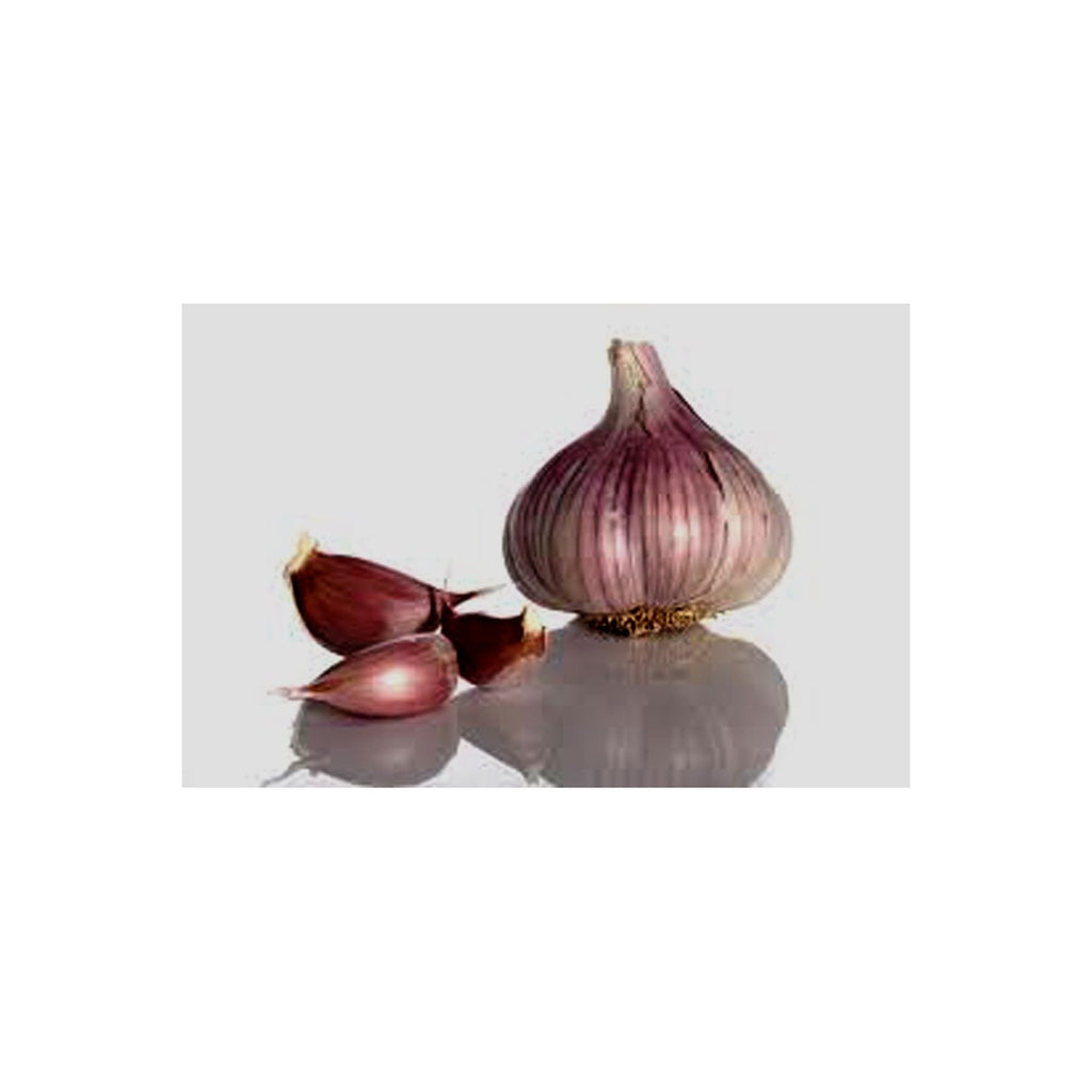 Garlic Bulb (6 Pack), Fresh Siberian HARDNECK Garlic Bulb for Planting and Growing Your OWN Garlic OR Eating