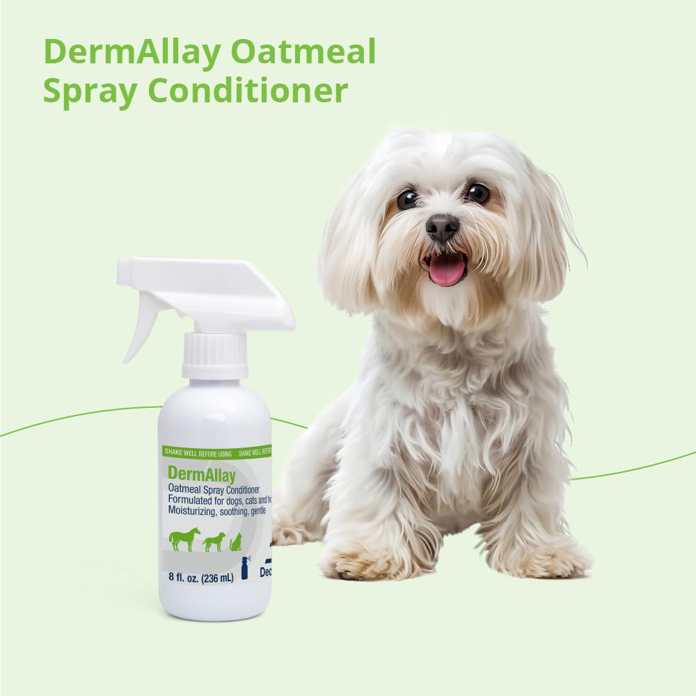 DermAllay Oatmeal Spray Conditioner for Dogs, Cats and Horses, 8oz,Cream