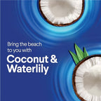Buy now Clorox Scentiva Disinfecting Wipes, Coconut and Waterlily, 75 Count, Pack of 3 (Package May Vary) at indiglob india