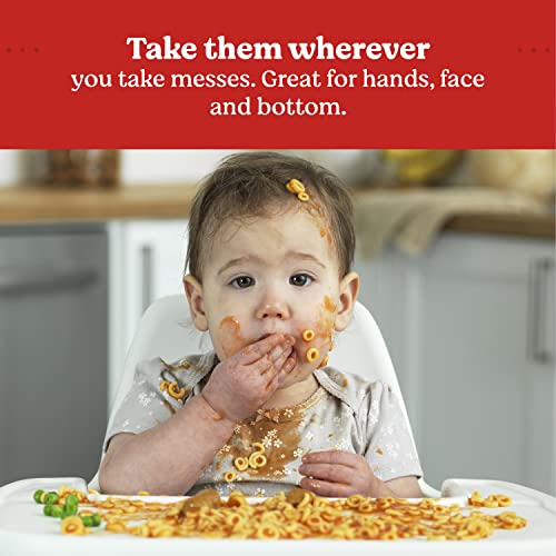 Buy now HUGGIES Simply Clean Baby Wipes Flip Lid Packs 704 Wipes Total, White, Unscented, 11 Count at indiglob india