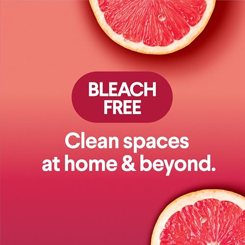 Buy now Clorox Scentiva Disinfecting Wipes, Grapefruit and Orange Blossom, 75 Ct., Pack of 3 (Pack May vary) at indiglob india