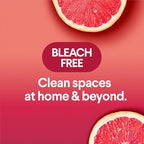 Buy now Clorox Scentiva Disinfecting Wipes, Grapefruit and Orange Blossom, 75 Ct., Pack of 3 (Pack May vary) at indiglob india