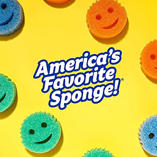 Buy now Scrub Daddy Sponge - Lemon Fresh Scent - Scratch-Free Multipurpose Dish Sponge - BPA Free & Made with Polymer Foam - Stain & Odor Resistant Kitchen Sponge (1 Count) at indiglob india