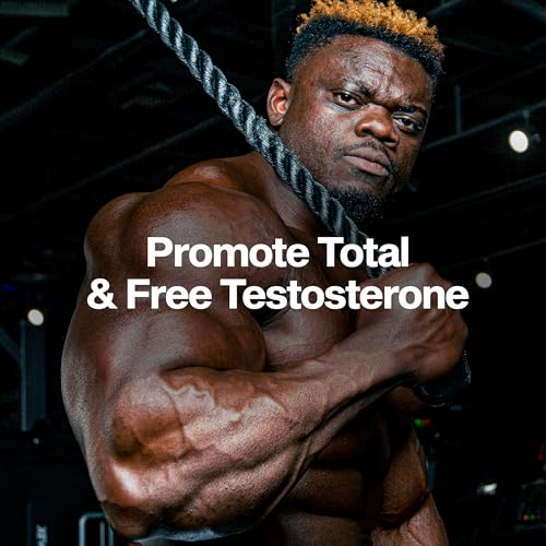 Buy now MuscleTech Testosterone Booster for Men, AlphaTest (150 Capsules) - Workout Testosterone Supplement for Men - Sports Nutrition Testosterone Booster for Endurance, Strength & Muscle Builder at indiglob india