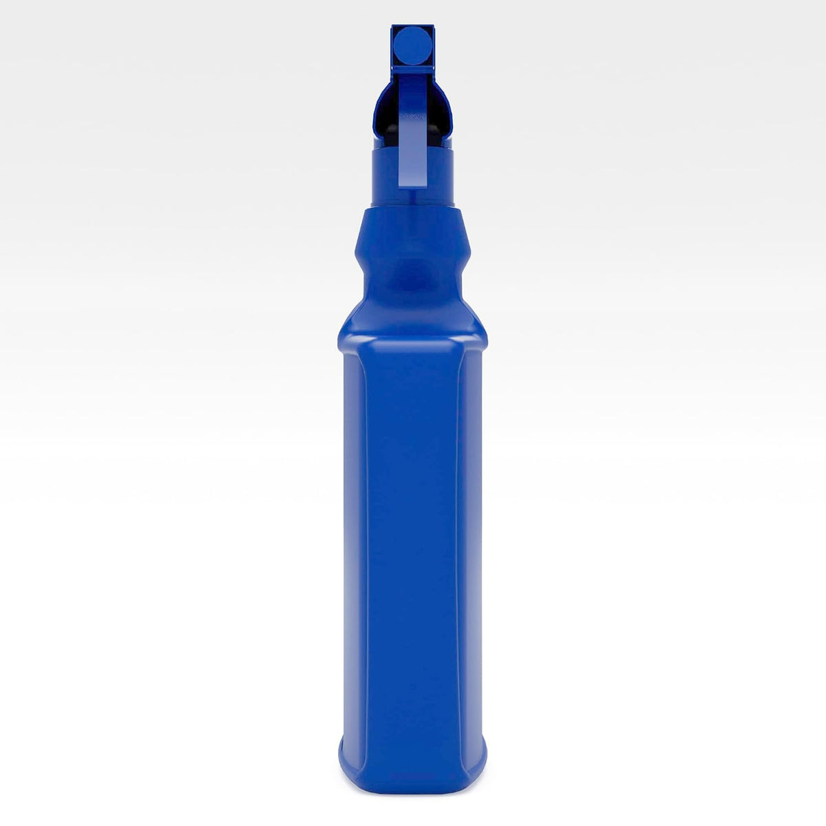 BioAdvanced Houseplant Insect and Mite Control Spray - 24 fl oz Bottle