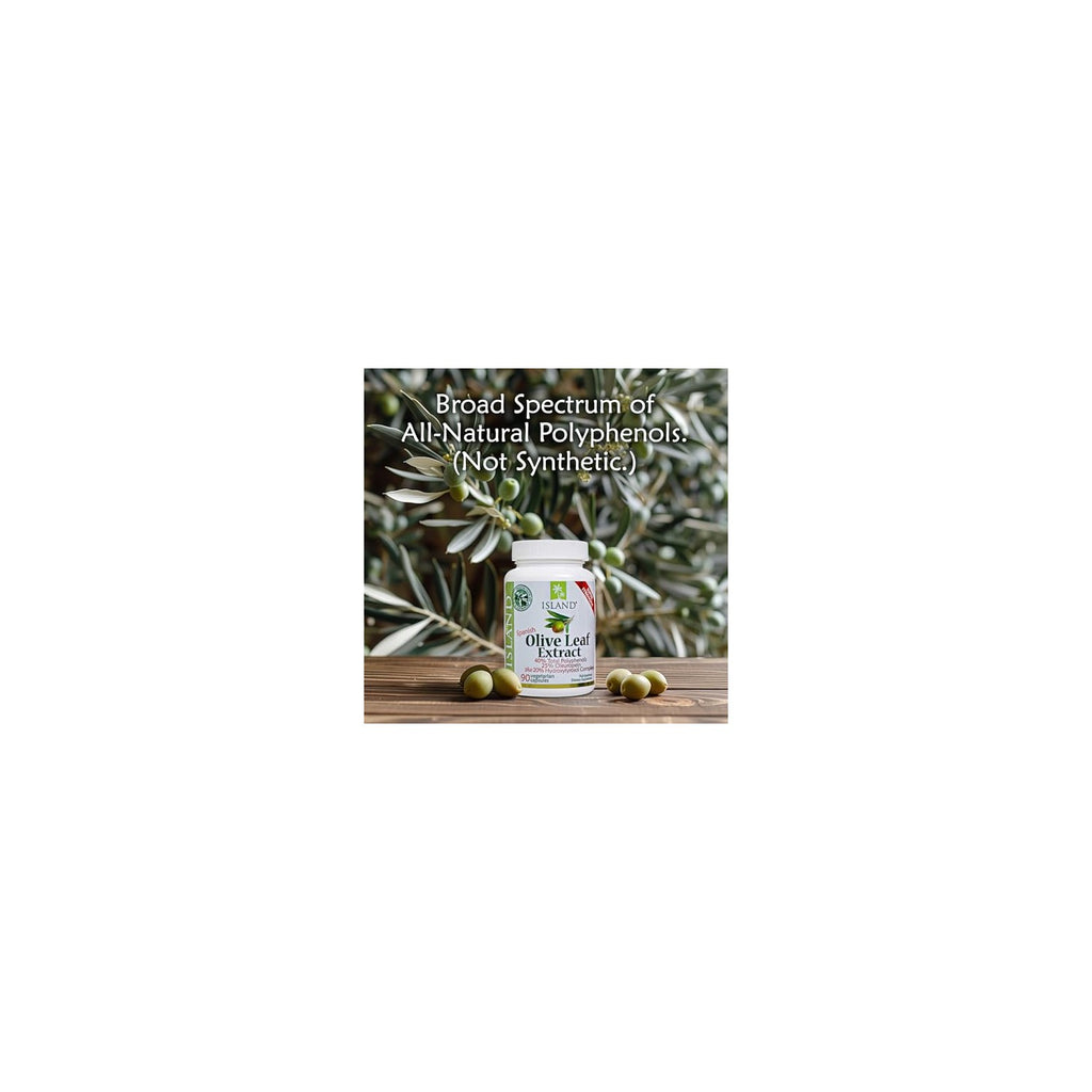 Buy now Olive Leaf Extract Capsules â€“ 25% Oleuropein (40% Total Polyphenols), Plus 20% Hydroxytyrosol Complex â€“ 100% Grown & Extracted in Spain (90 Capsules) at indiglob india