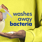Buy now Softsoap Antibacterial Liquid Hand Soap, Fresh Citrus Scent Hand Soap, 11.25 Ounce, 6 Pack at indiglob india